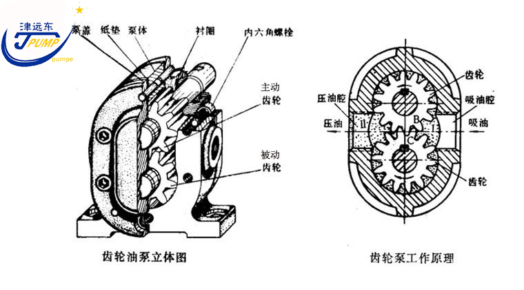 2CG硬（yìng）齒麵渣油（yóu）泵（bèng）剖析圖