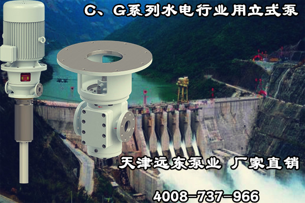 C、G係列（liè）水（shuǐ）電行業用（yòng）立式泵